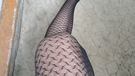Guy's legs in sexy tights - Image # 4
